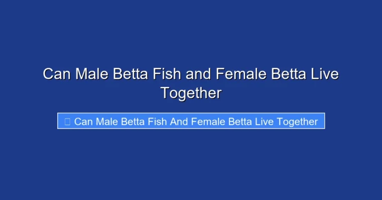 Can Male Betta Fish and Female Betta Live Together