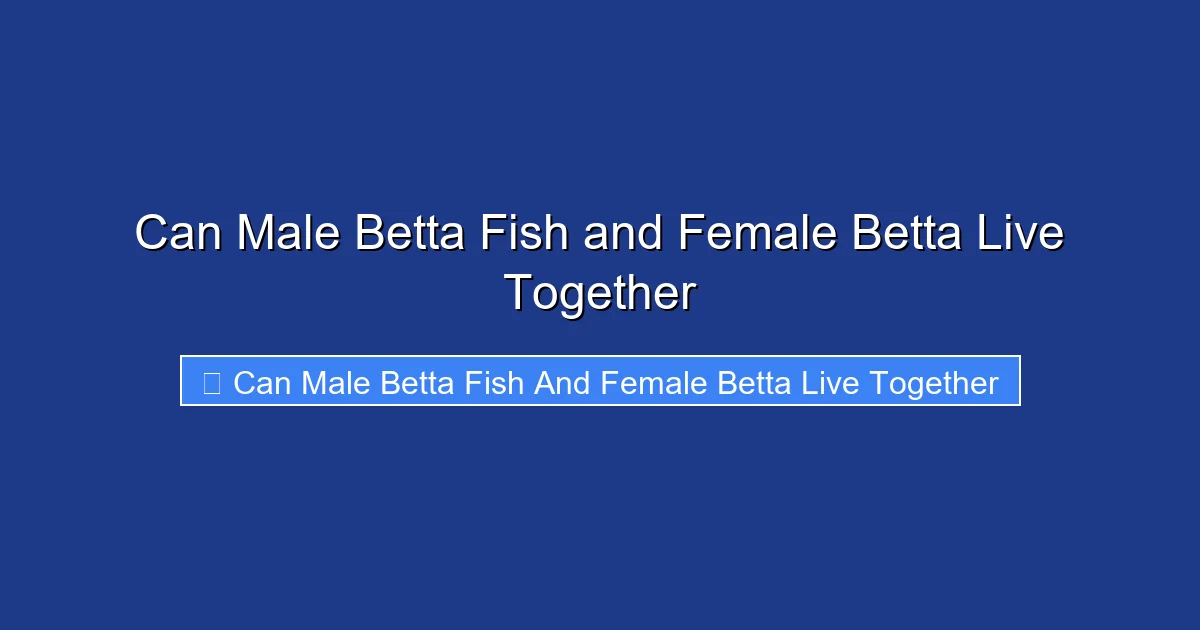 Can Male Betta Fish and Female Betta Live Together
