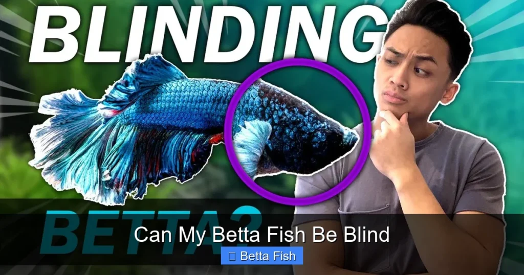 Can My Betta Fish Be Blind