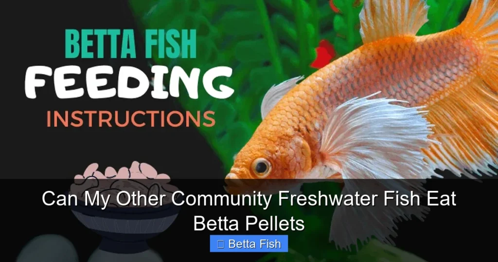 Can My Other Community Freshwater Fish Eat Betta Pellets