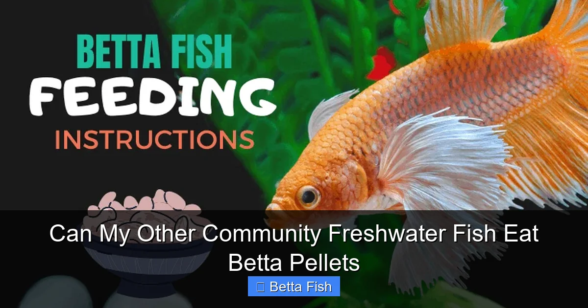 Can My Other Community Freshwater Fish Eat Betta Pellets