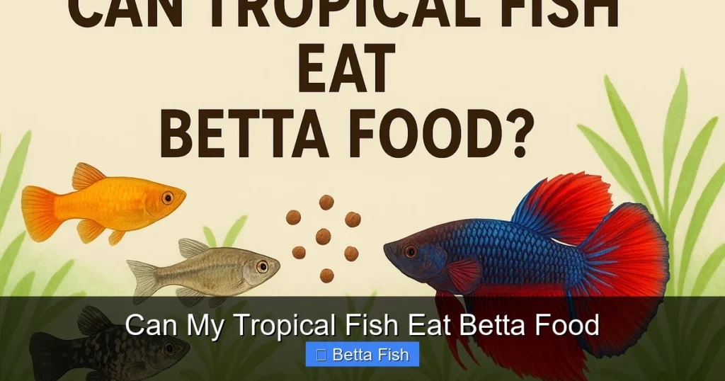 Can My Tropical Fish Eat Betta Food