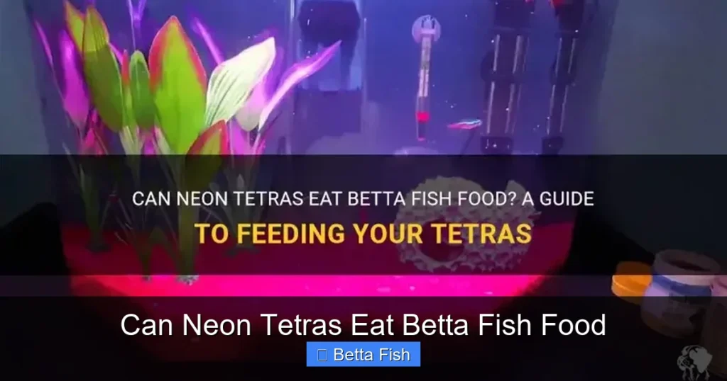 Can Neon Tetras Eat Betta Fish Food