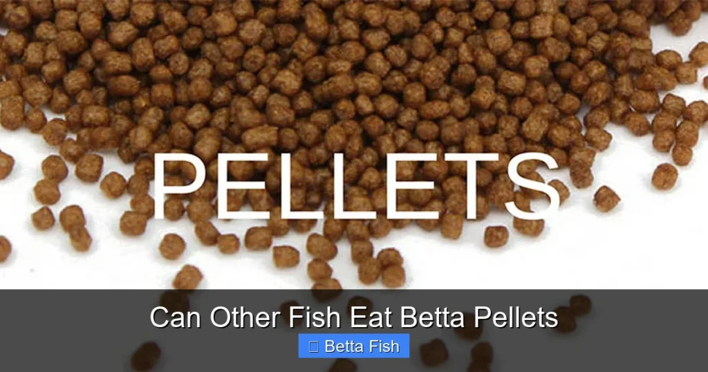 Can Other Fish Eat Betta Pellets