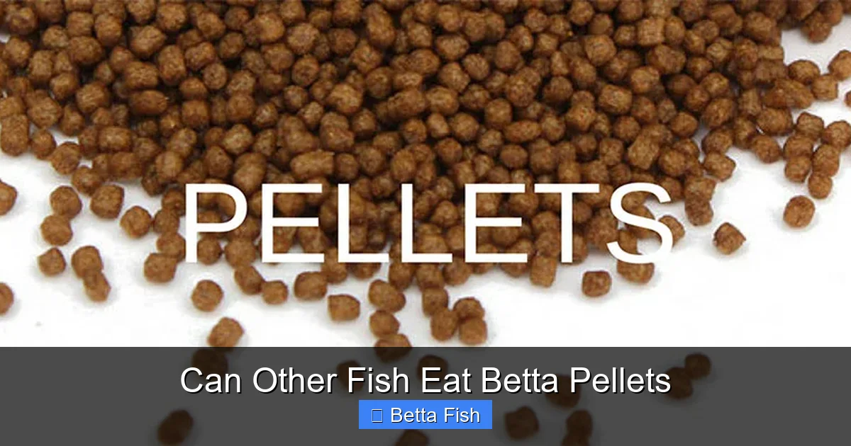 Can Other Fish Eat Betta Pellets