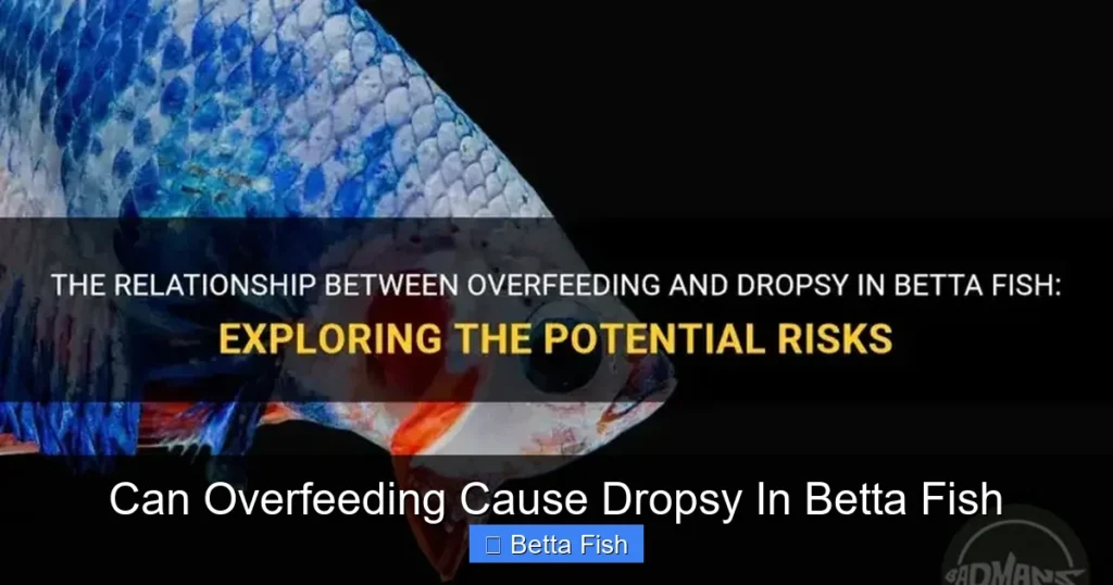 Can Overfeeding Cause Dropsy In Betta Fish