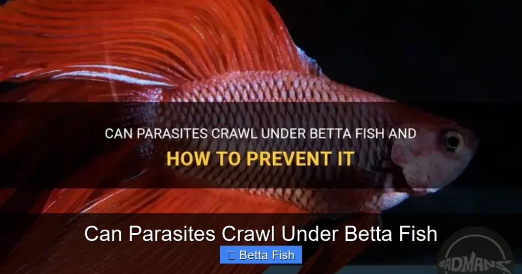 Can Parasites Crawl Under Betta Fish