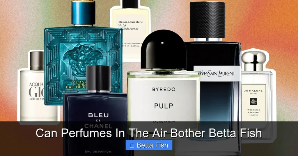 Can Perfumes In The Air Bother Betta Fish