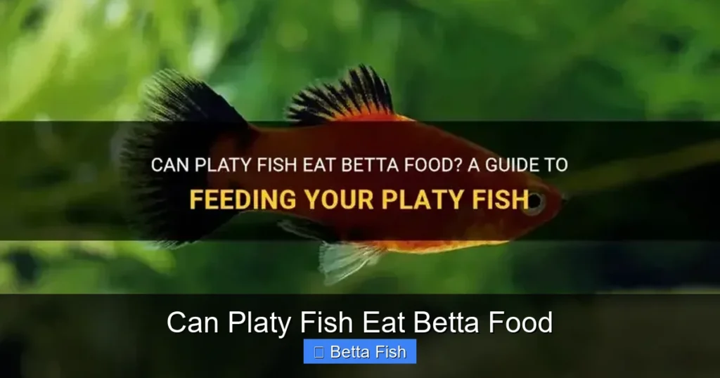 Can Platy Fish Eat Betta Food
