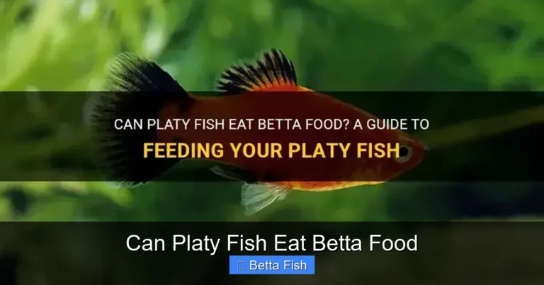 Can Platy Fish Eat Betta Food