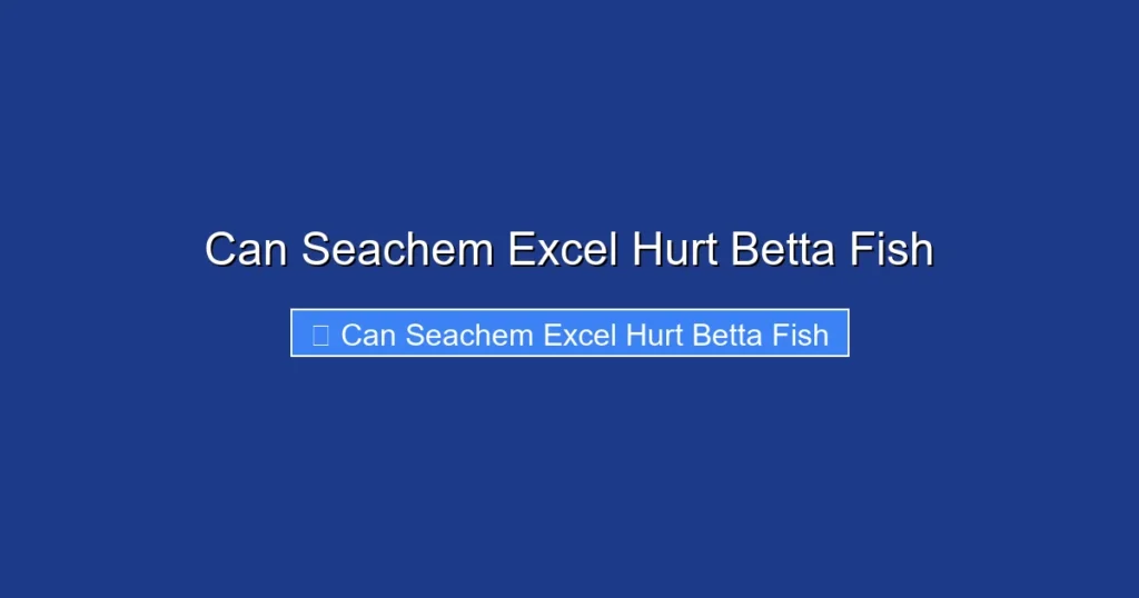 Can Seachem Excel Hurt Betta Fish