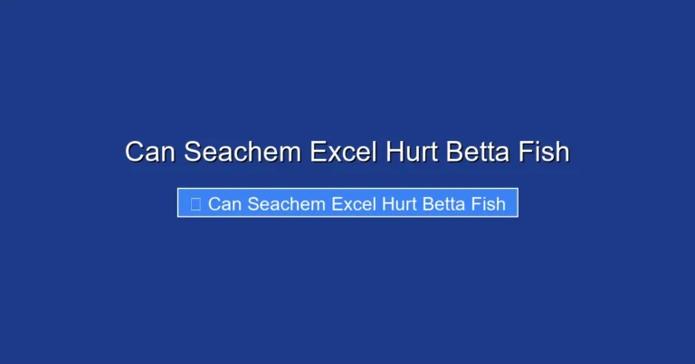 Can Seachem Excel Hurt Betta Fish