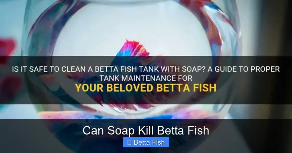 Can Soap Kill Betta Fish