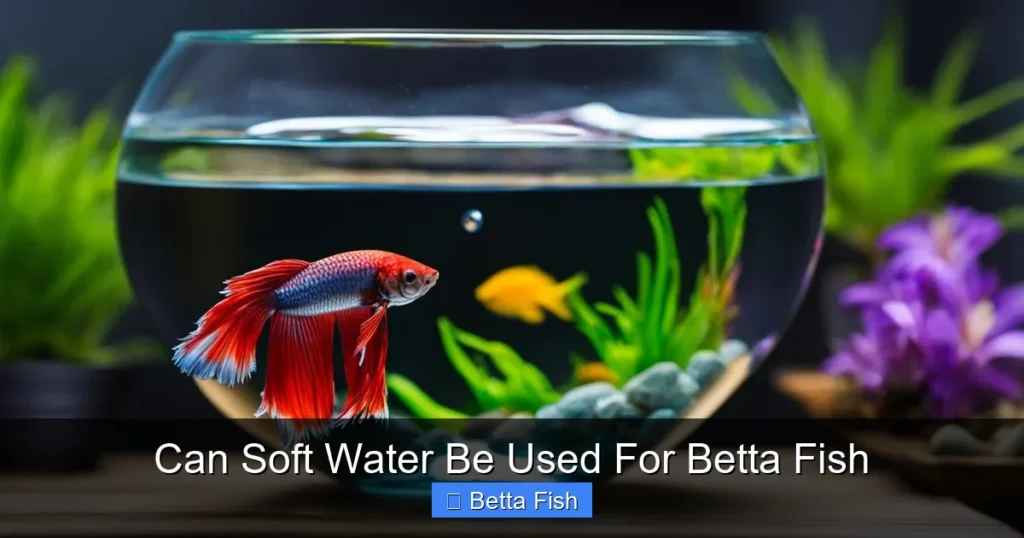 Can Soft Water Be Used For Betta Fish