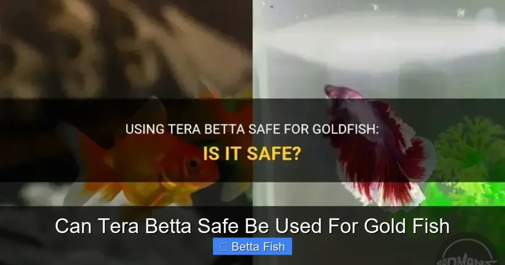 Can Tera Betta Safe Be Used For Gold Fish