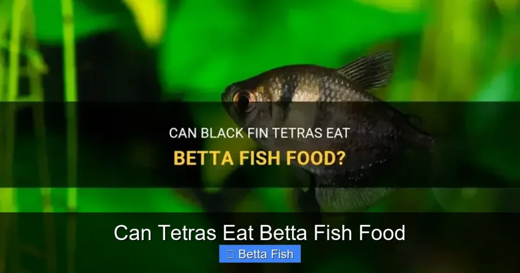 Can Tetras Eat Betta Fish Food