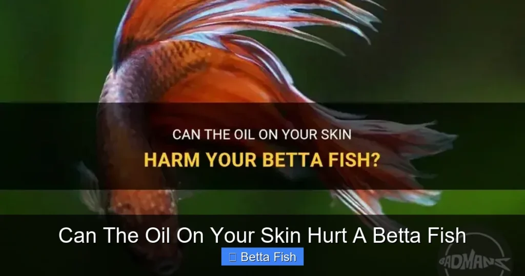Can The Oil On Your Skin Hurt A Betta Fish
