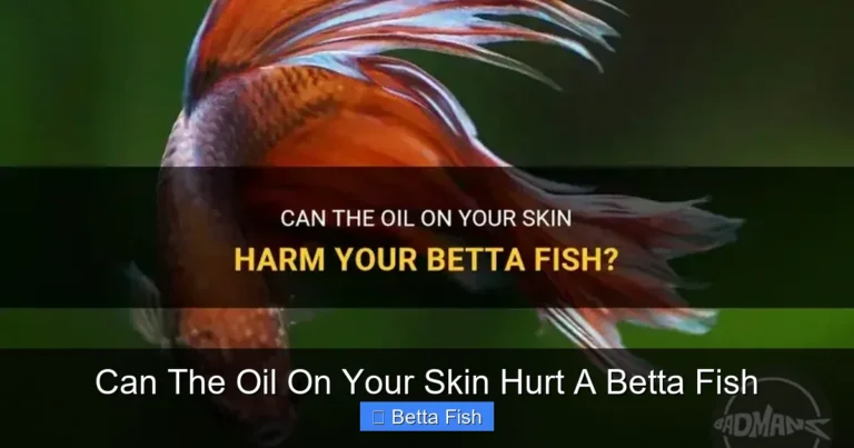 Can The Oil On Your Skin Hurt A Betta Fish