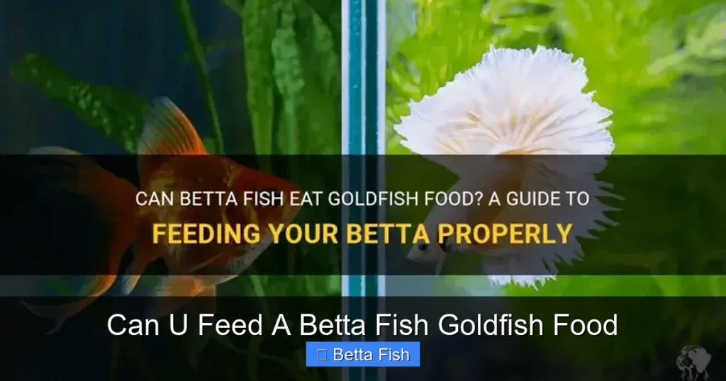 Can U Feed A Betta Fish Goldfish Food