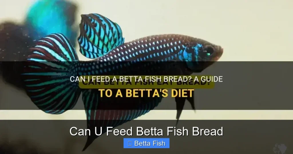 Can U Feed Betta Fish Bread