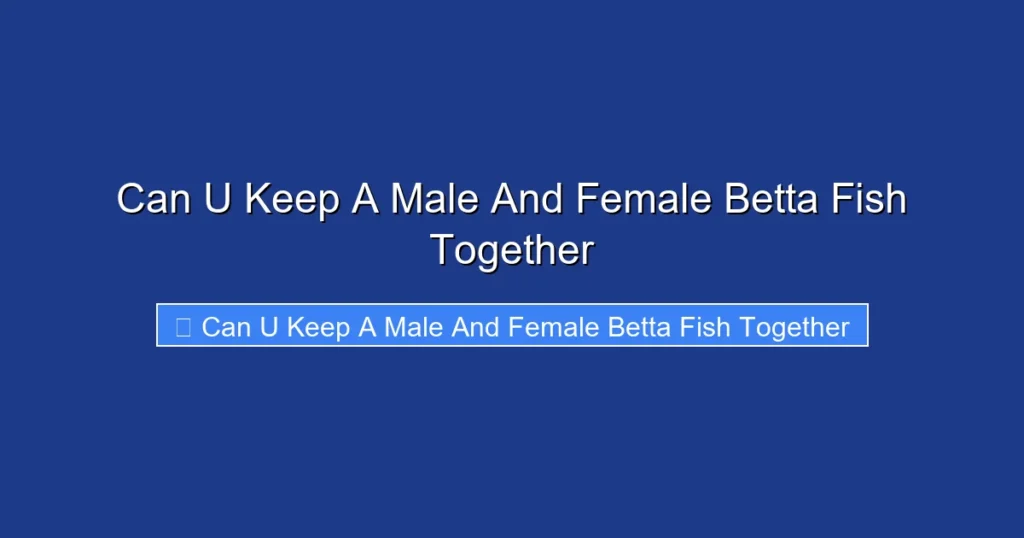 Can U Keep A Male And Female Betta Fish Together