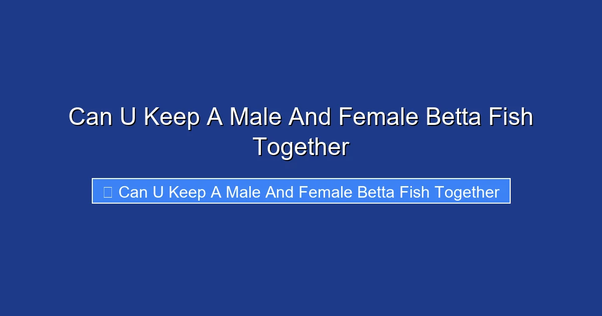 Can U Keep A Male And Female Betta Fish Together