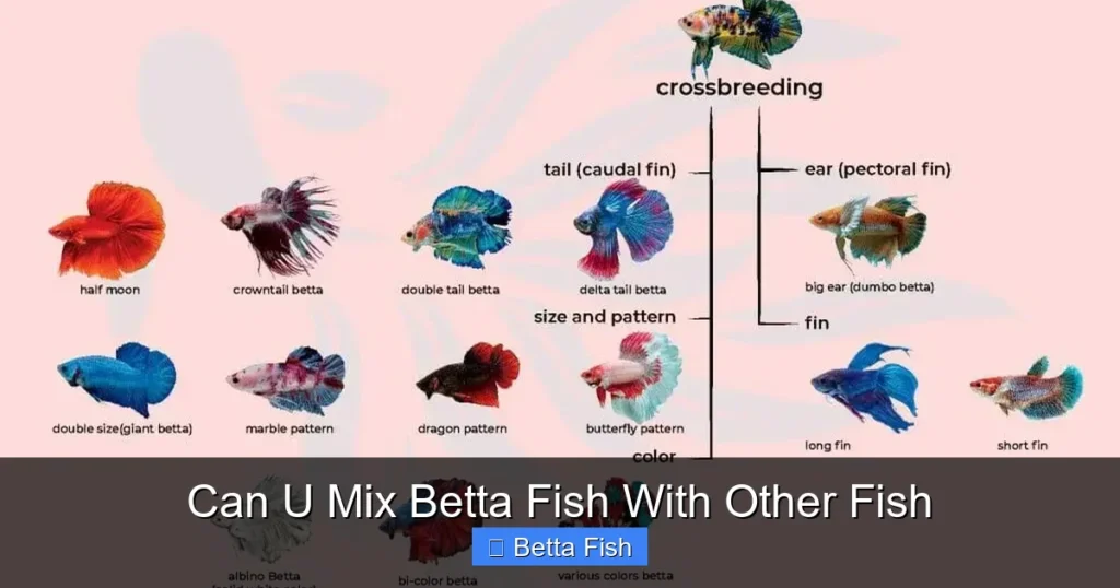 Can U Mix Betta Fish With Other Fish
