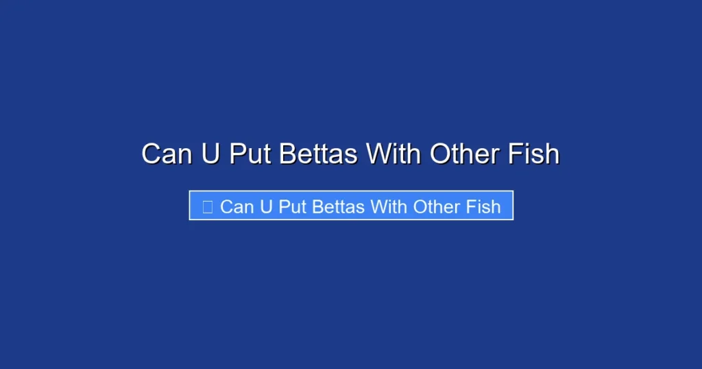 Can U Put Bettas With Other Fish