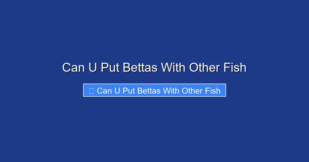 Can U Put Bettas With Other Fish
