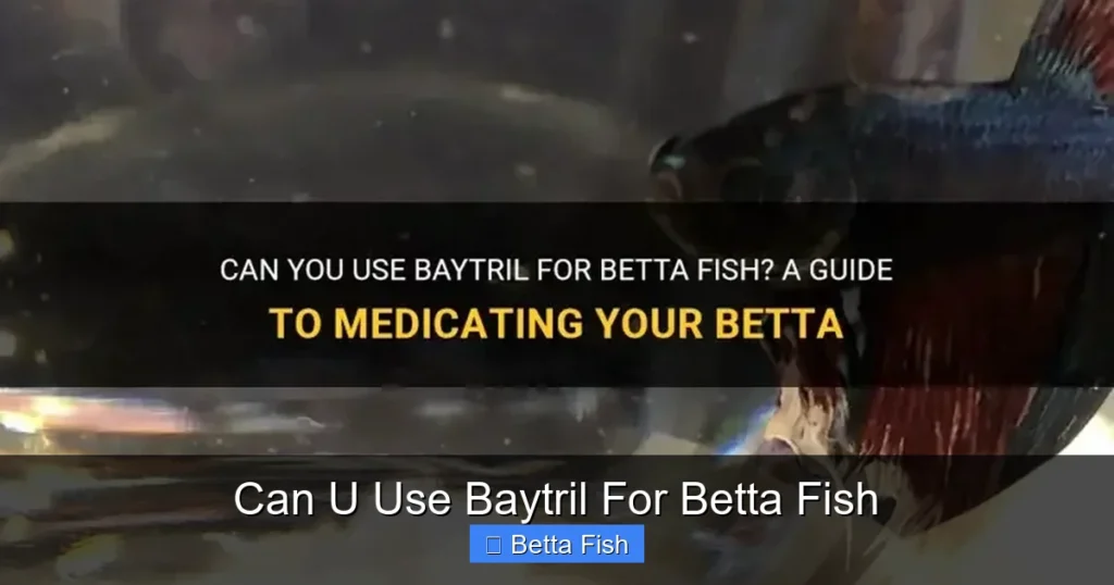 Can U Use Baytril For Betta Fish