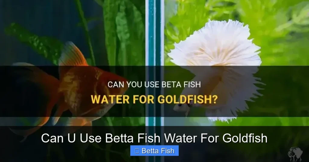 Can U Use Betta Fish Water For Goldfish