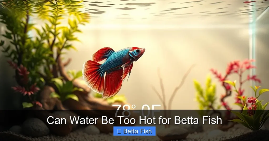 Can Water Be Too Hot for Betta Fish