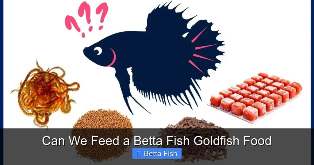 Can We Feed a Betta Fish Goldfish Food