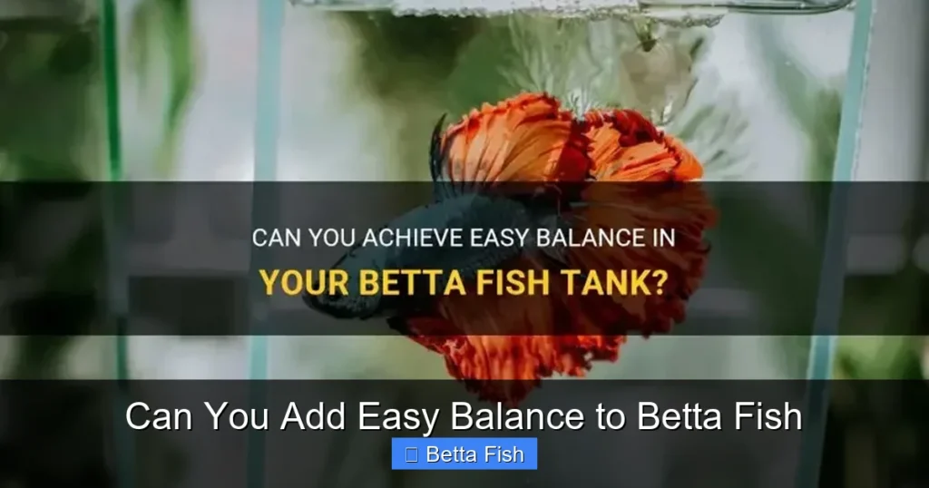 Can You Add Easy Balance to Betta Fish