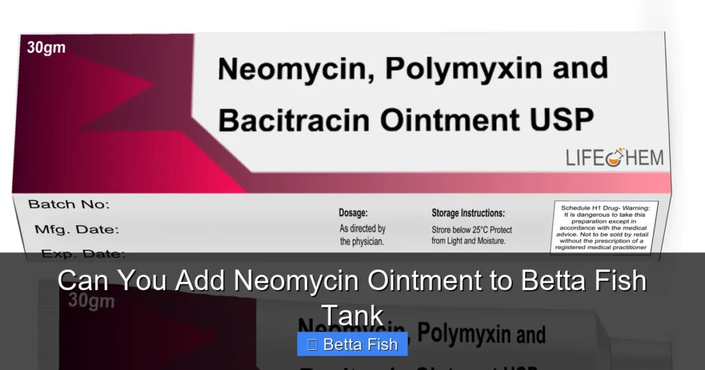 Can You Add Neomycin Ointment to Betta Fish Tank
