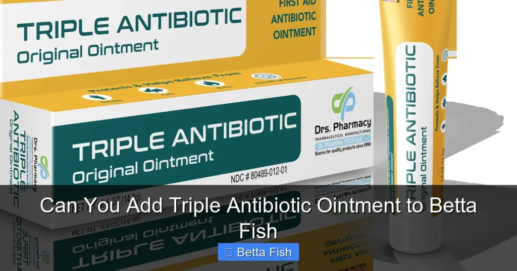Can You Add Triple Antibiotic Ointment to Betta Fish