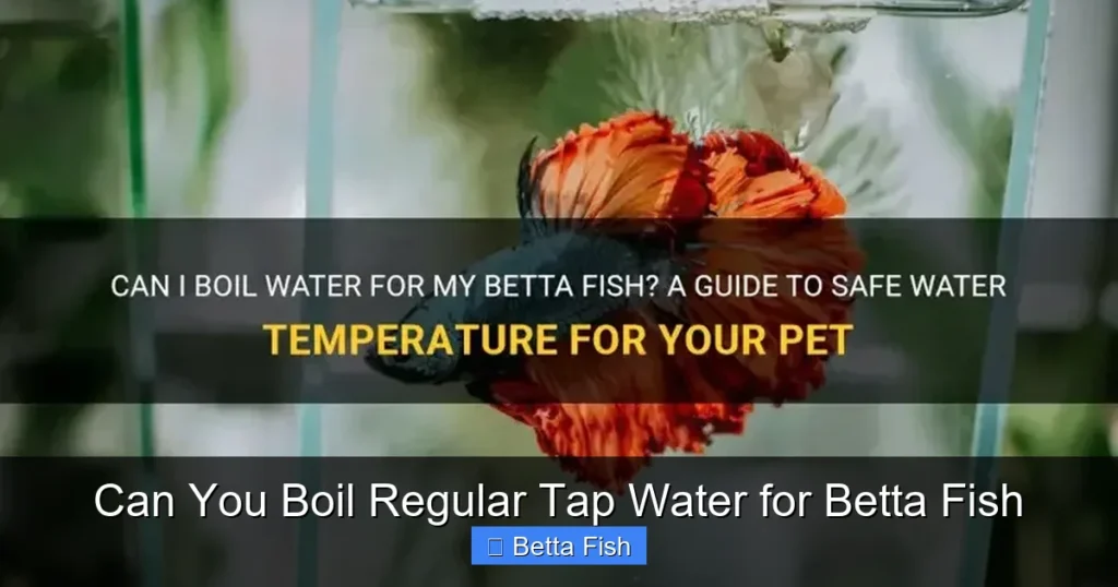 Can You Boil Regular Tap Water for Betta Fish