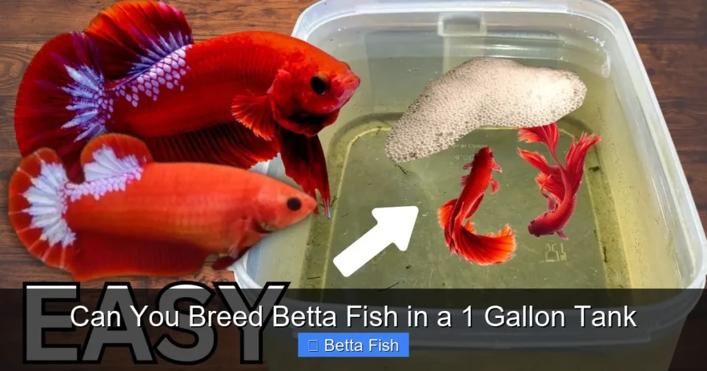 Can You Breed Betta Fish in a 1 Gallon Tank