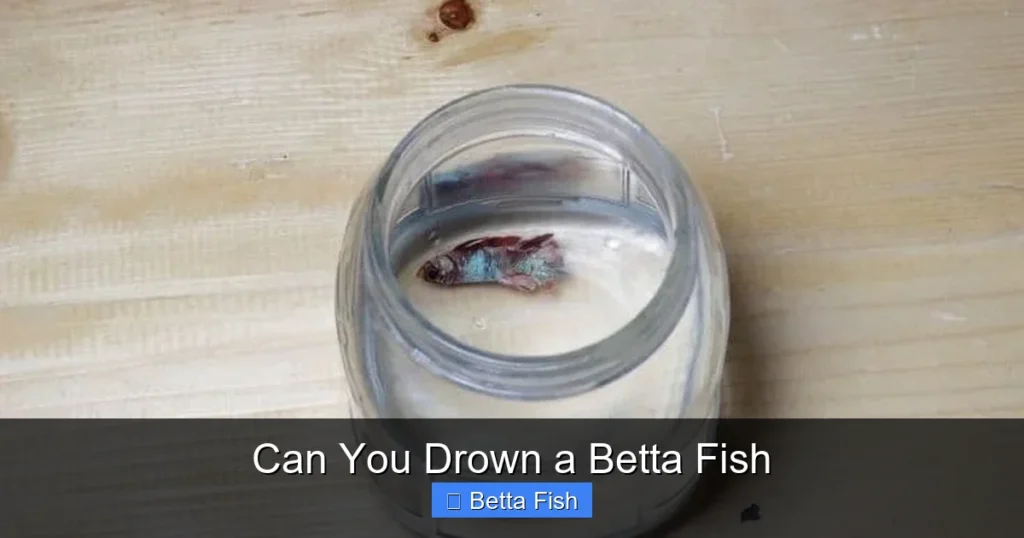 Can You Drown a Betta Fish