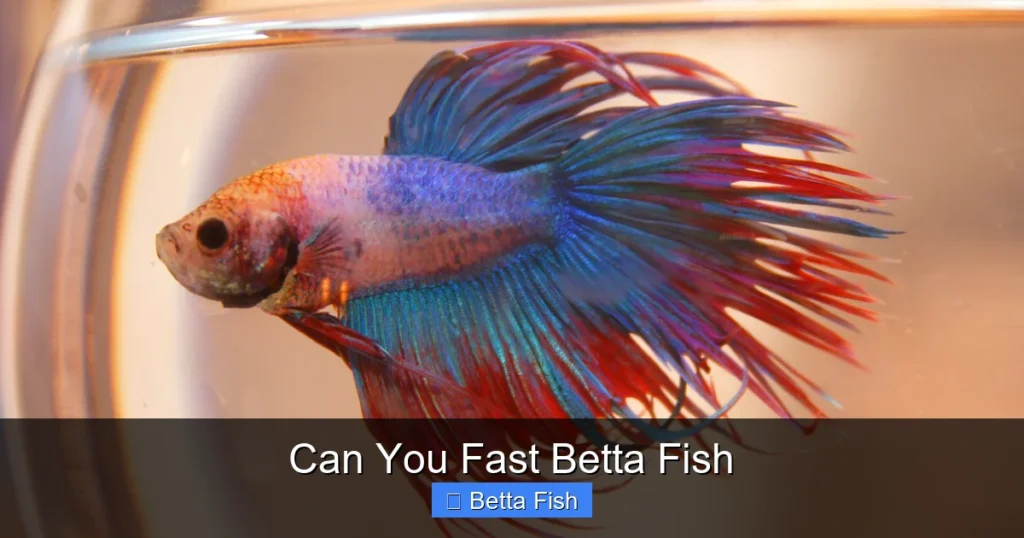 Can You Fast Betta Fish
