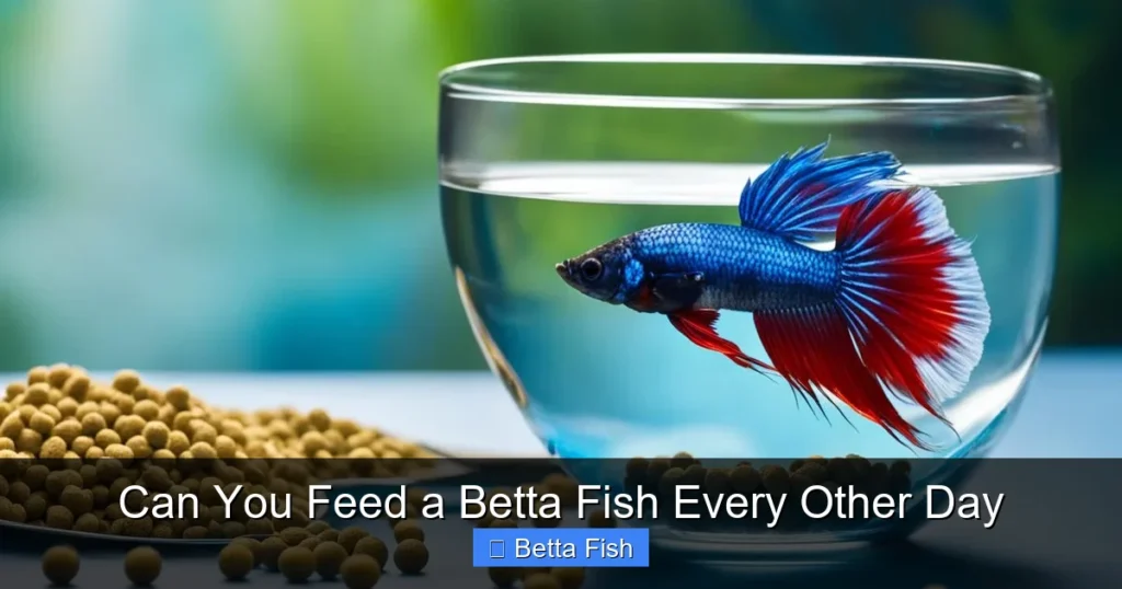 Can You Feed a Betta Fish Every Other Day