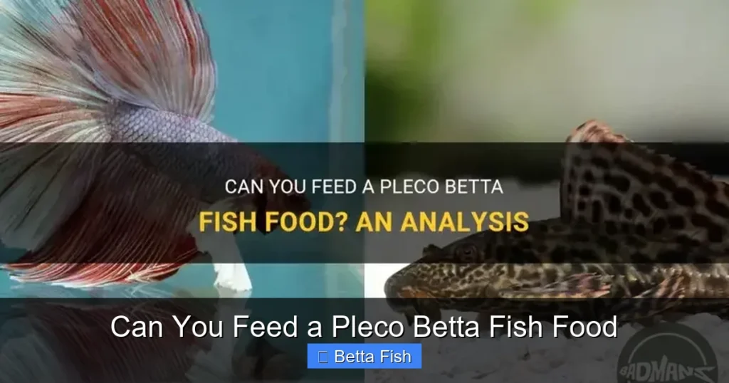 Can You Feed a Pleco Betta Fish Food