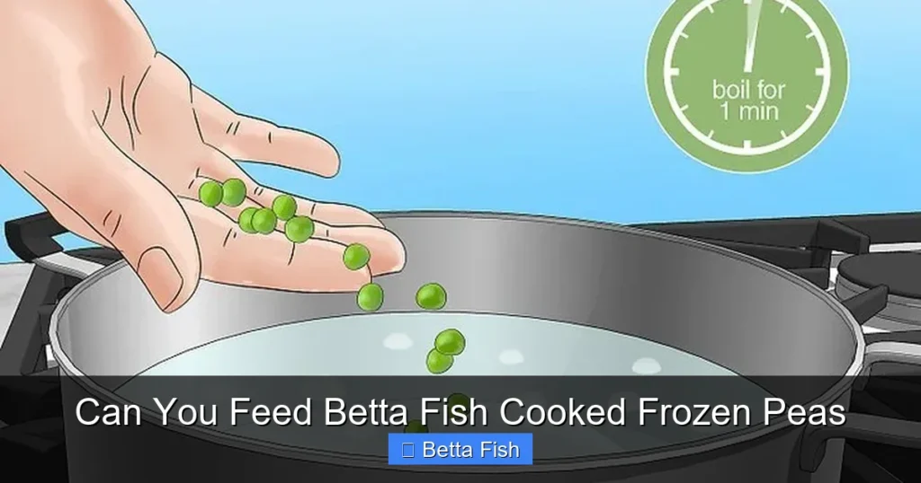 Can You Feed Betta Fish Cooked Frozen Peas