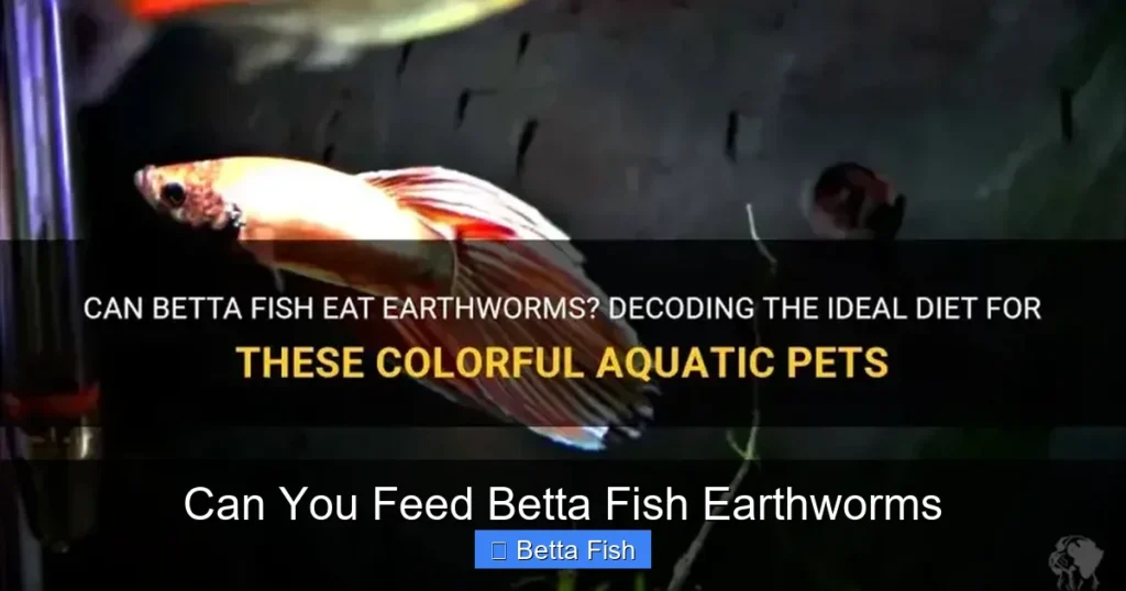 Can You Feed Betta Fish Earthworms
