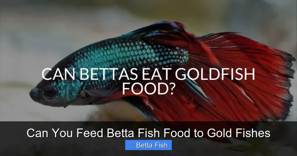 Can You Feed Betta Fish Food to Gold Fishes