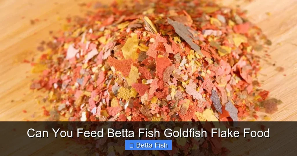 Can You Feed Betta Fish Goldfish Flake Food