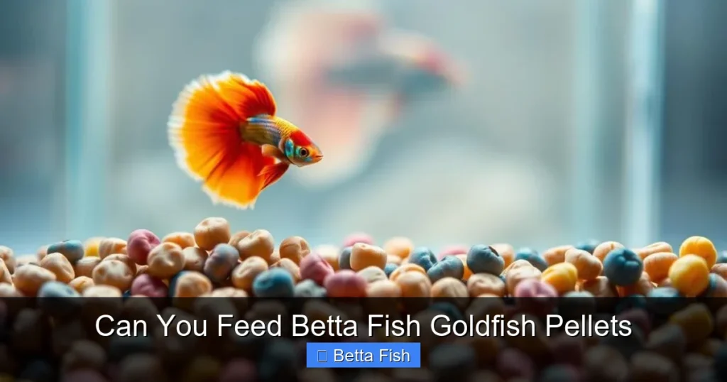 Can You Feed Betta Fish Goldfish Pellets