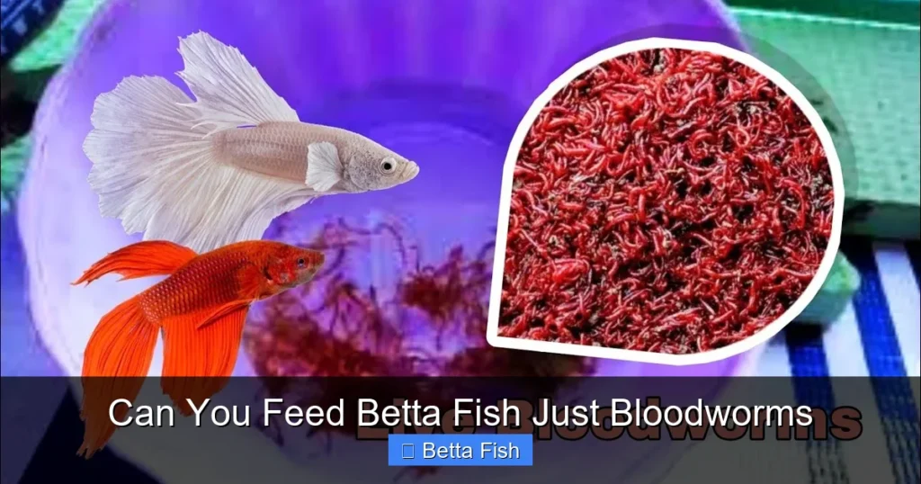 Can You Feed Betta Fish Just Bloodworms