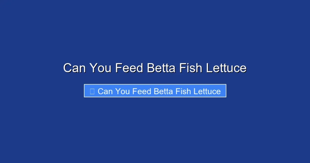 Can You Feed Betta Fish Lettuce