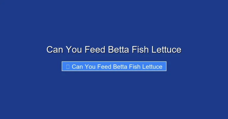 Can You Feed Betta Fish Lettuce